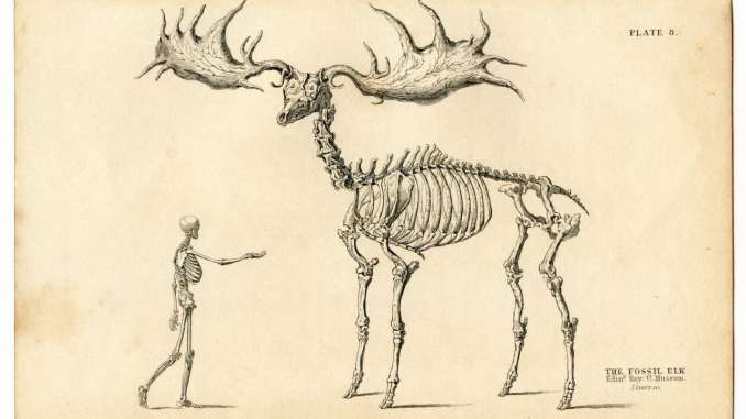 El problema de la justicia en la filosofía de la primera modernidad: en torno de las elaboraciones de Spinoza, Leibniz y Kant – Parte 1, por Marcelo Raffin