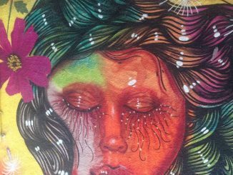 Prueba propuesta y denegada