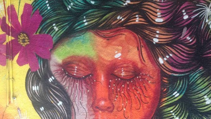 Prueba propuesta y denegada