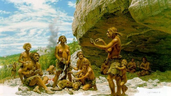 El hombre: animal social o político