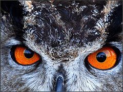 La meditación y la Relación