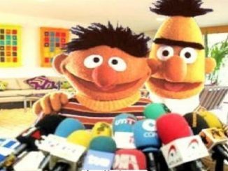 el siglo de la estupidez